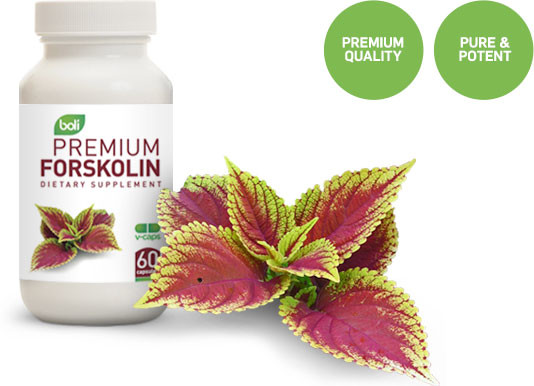 mainImage_forskolin01-534x386.jpg