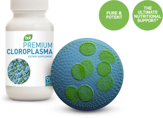 Wholesale & Private Label Chloroplasma